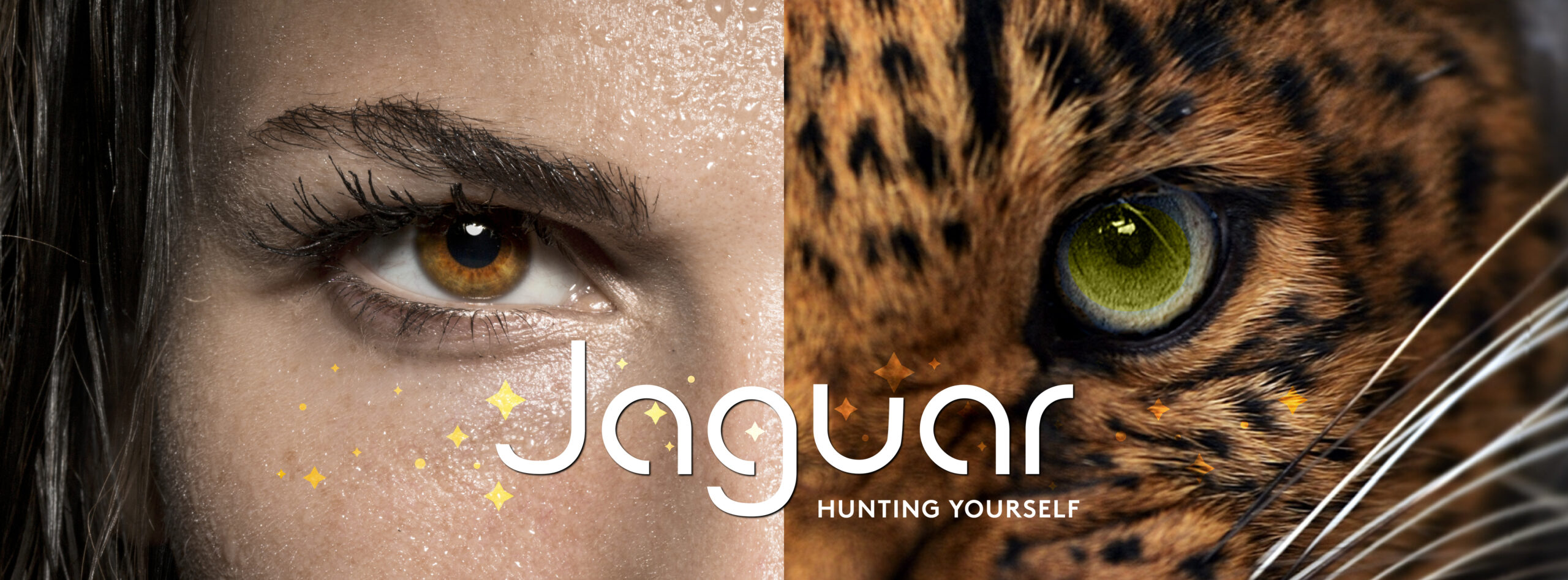 JAGUAR_Background_FB_04 (1)